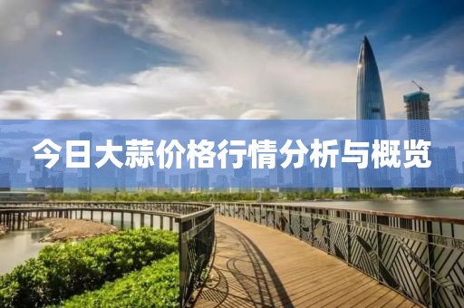 今日大蒜价格行情分析与概览
