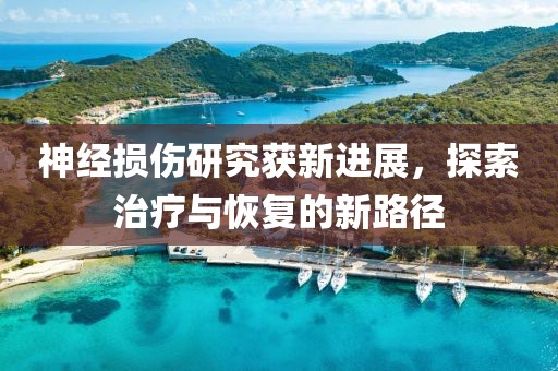 神经损伤研究获新进展，探索治疗与恢复的新路径