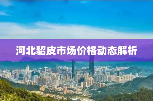 河北貂皮市场价格动态解析
