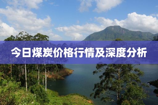 今日煤炭价格行情及深度分析