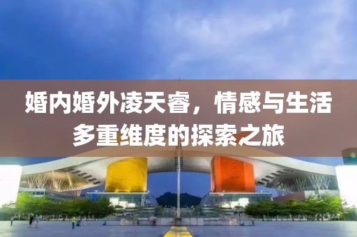 婚内婚外凌天睿，情感与生活多重维度的探索之旅