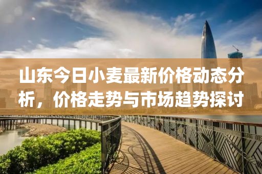 山东今日小麦最新价格动态分析，价格走势与市场趋势探讨