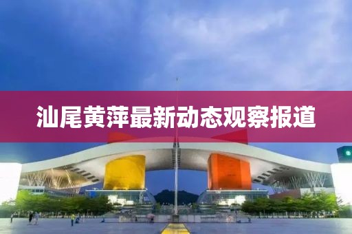 汕尾黄萍最新动态观察报道