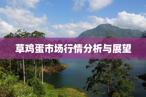 草鸡蛋市场行情分析与展望