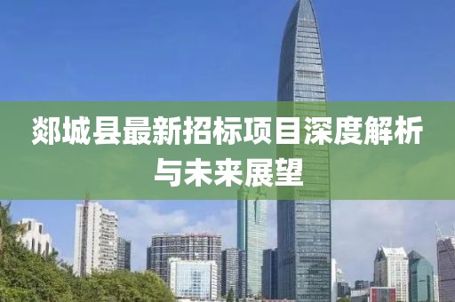 郯城县最新招标项目深度解析与未来展望