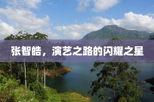 张智皓，演艺之路的闪耀之星