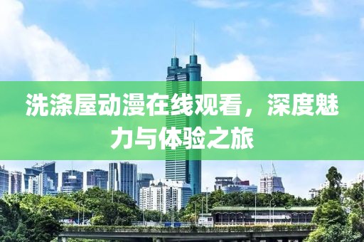 洗涤屋动漫在线观看，深度魅力与体验之旅