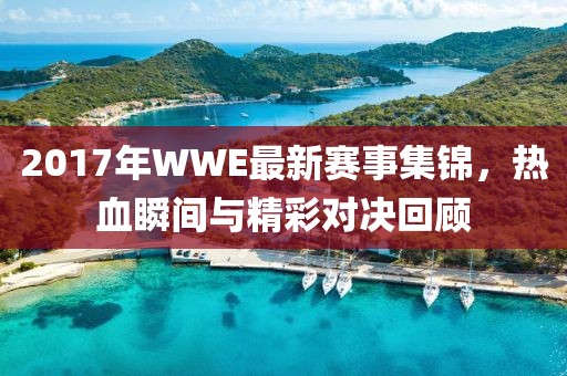 2017年WWE最新赛事集锦，热血瞬间与精彩对决回顾