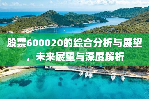 股票600020的综合分析与展望，未来展望与深度解析