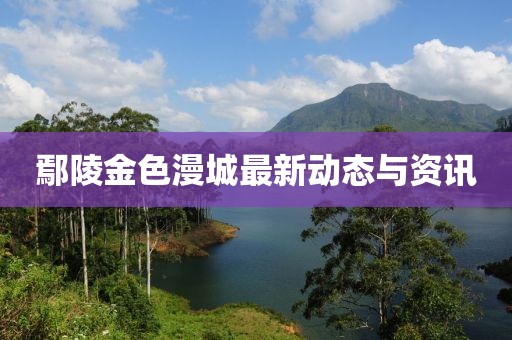 鄢陵金色漫城最新动态与资讯