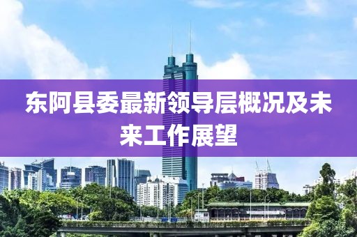 东阿县委最新领导层概况及未来工作展望