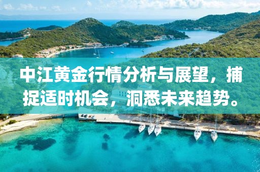 中江黄金行情分析与展望，捕捉适时机会，洞悉未来趋势。