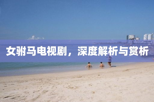 女驸马电视剧，深度解析与赏析