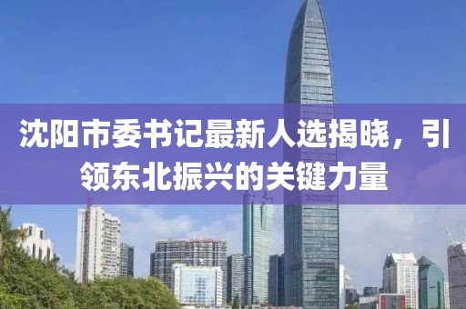 沈阳市委书记最新人选揭晓，引领东北振兴的关键力量
