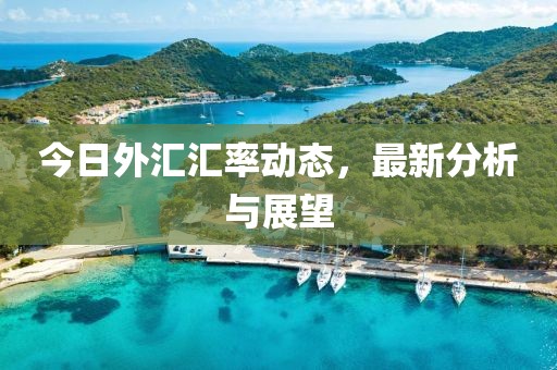 今日外汇汇率动态，最新分析与展望