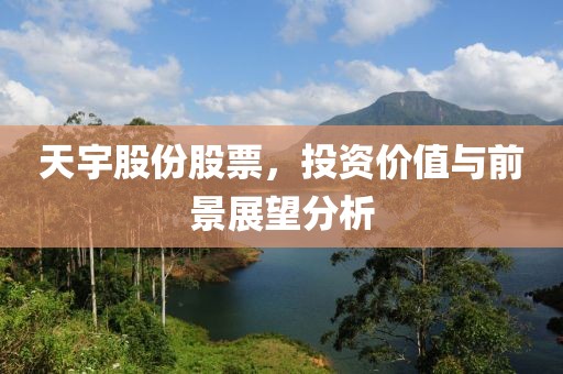 天宇股份股票，投资价值与前景展望分析