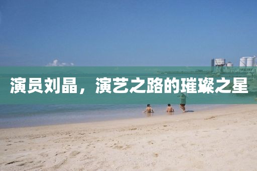 演员刘晶，演艺之路的璀璨之星