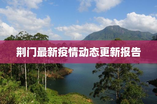 荆门最新疫情动态更新报告
