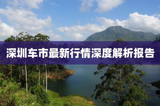 深圳车市最新行情深度解析报告