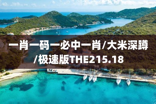 一肖一码一必中一肖/大米深蹲/极速版THE215.18
