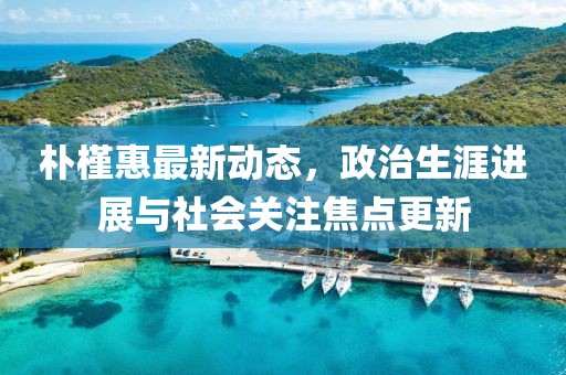 朴槿惠最新动态，政治生涯进展与社会关注焦点更新