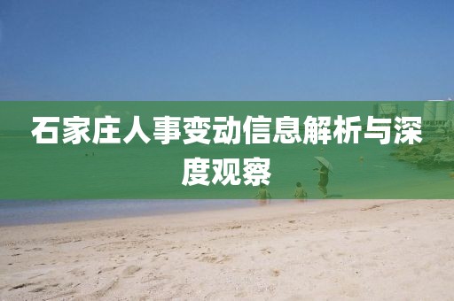 石家庄人事变动信息解析与深度观察