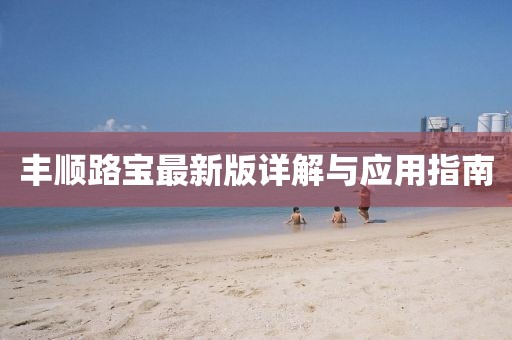 丰顺路宝最新版详解与应用指南