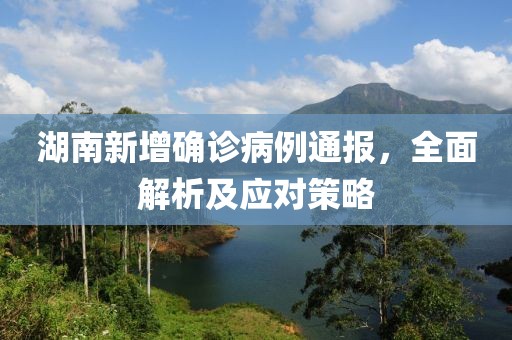 湖南新增确诊病例通报，全面解析及应对策略