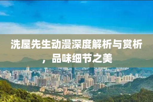 洗屋先生动漫深度解析与赏析，品味细节之美
