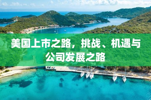 美国上市之路，挑战、机遇与公司发展之路