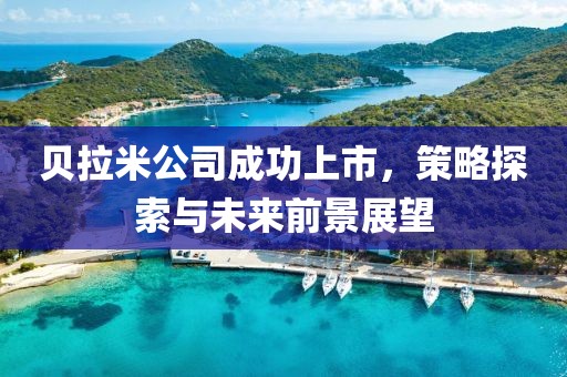 贝拉米公司成功上市，策略探索与未来前景展望