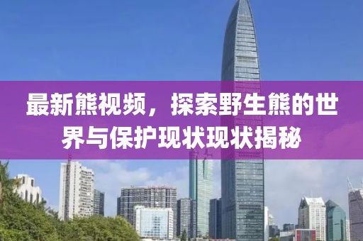 最新熊视频，探索野生熊的世界与保护现状现状揭秘