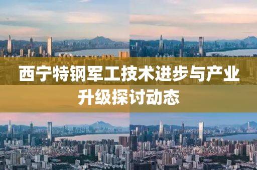 西宁特钢军工技术进步与产业升级探讨动态