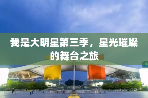 我是大明星第三季，星光璀璨的舞台之旅