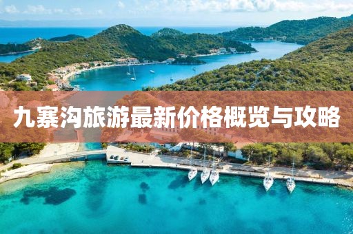 2025年1月 第10页