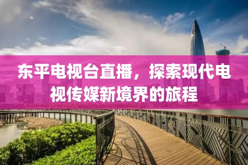 东平电视台直播，探索现代电视传媒新境界的旅程