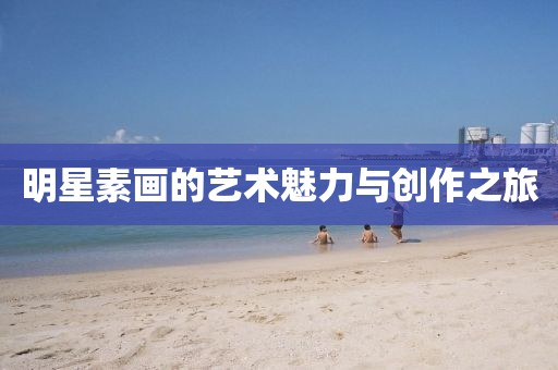 明星素画的艺术魅力与创作之旅