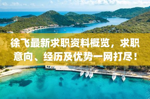 徐飞最新求职资料概览，求职意向、经历及优势一网打尽！