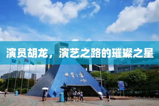 演员胡龙，演艺之路的璀璨之星