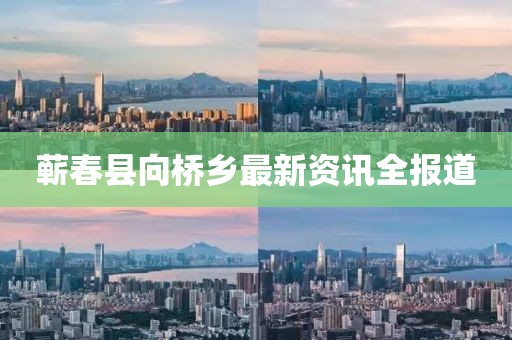 蕲春县向桥乡最新资讯全报道