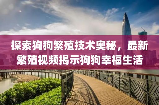探索狗狗繁殖技术奥秘，最新繁殖视频揭示狗狗幸福生活