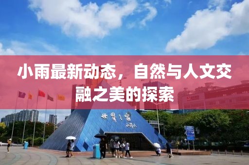 小雨最新动态，自然与人文交融之美的探索