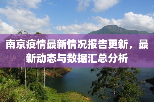 南京疫情最新情况报告更新，最新动态与数据汇总分析
