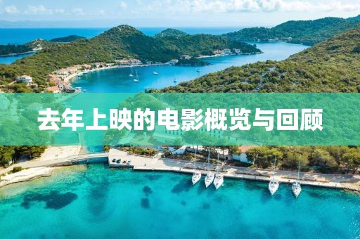 去年上映的电影概览与回顾