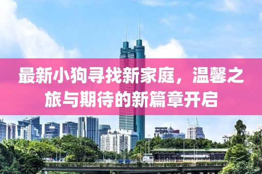 最新小狗寻找新家庭，温馨之旅与期待的新篇章开启