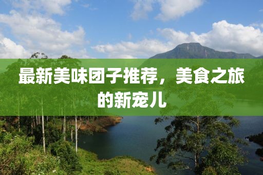 最新美味团子推荐，美食之旅的新宠儿