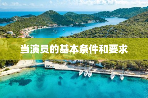 当演员的基本条件和要求