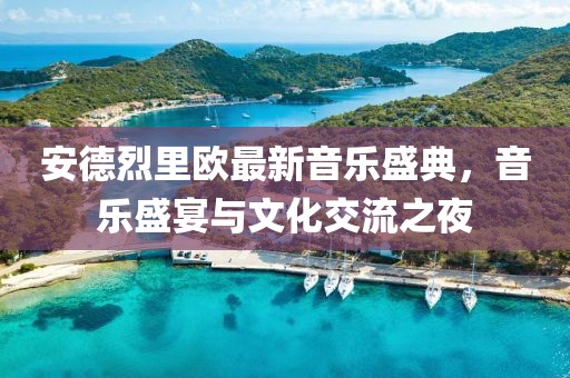 安德烈里欧最新音乐盛典，音乐盛宴与文化交流之夜
