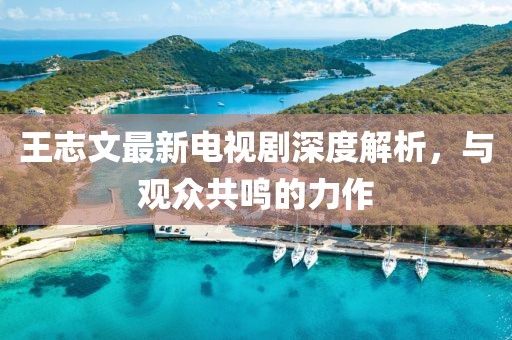 王志文最新电视剧深度解析，与观众共鸣的力作