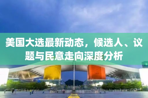 美国大选最新动态，候选人、议题与民意走向深度分析